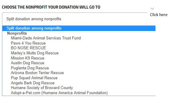 Choosing Shelter or Rescue for Donation